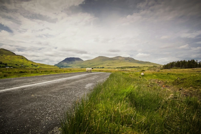 a country road in the scottish countryside under a cloudy sky