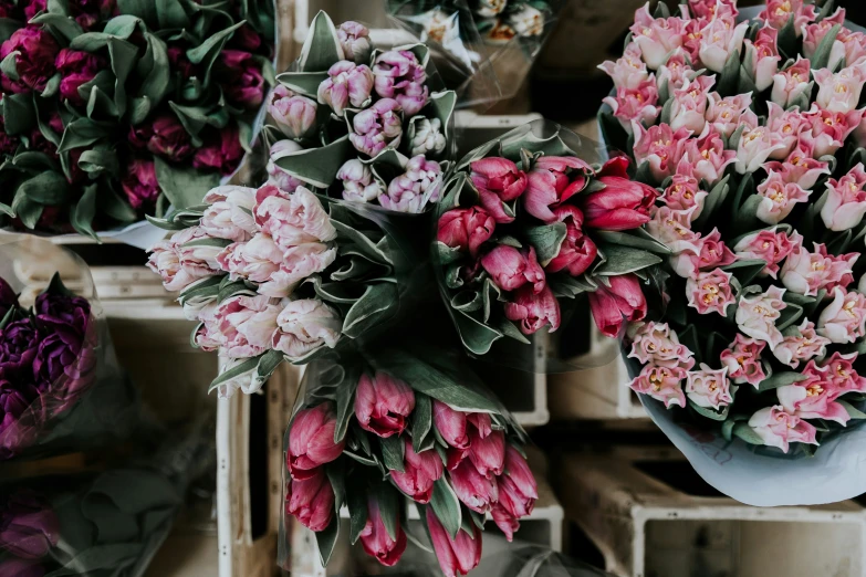 flowers on display in baskets at the market