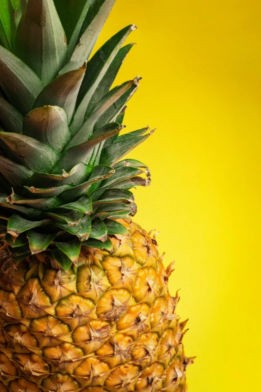 a large ripe pineapple on a bright yellow background