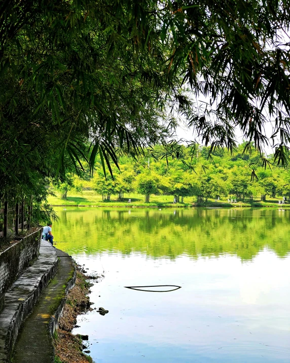 the water is full of greenery and there are people sitting near by it