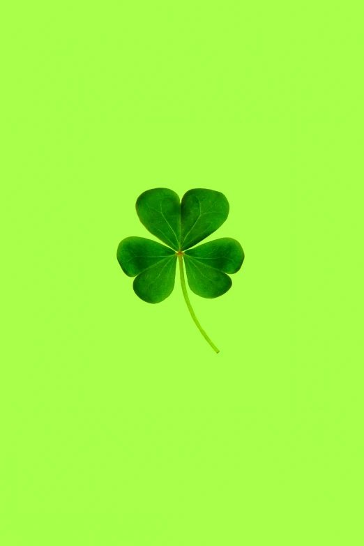 a three - leafed clover is seen against a green background