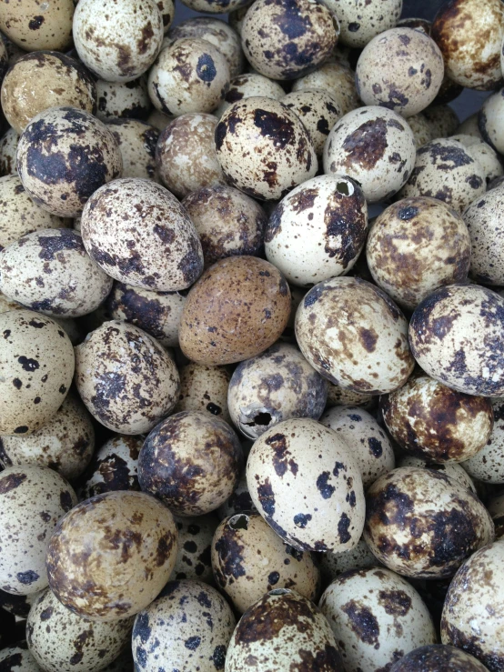 a bunch of eggs that are very brown and white