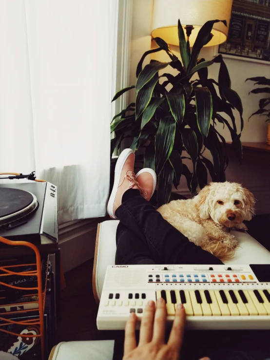 the dog is sleeping on top of the person holding the electronic keyboard