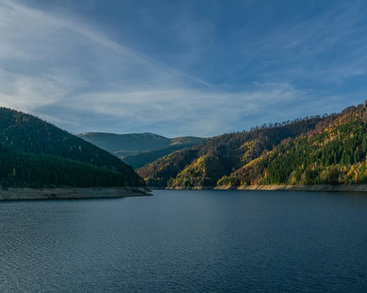 there is a large body of water surrounded by trees