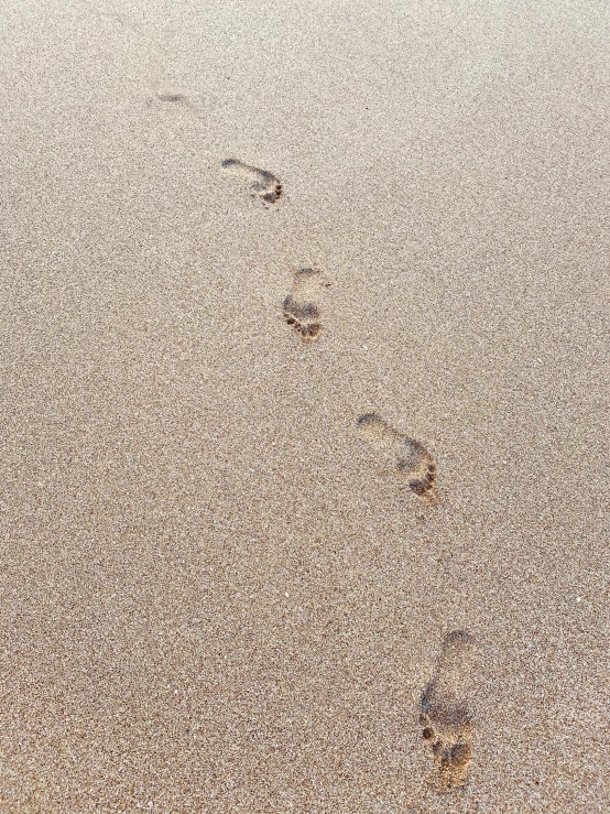 footprints on the beach sand at dusk