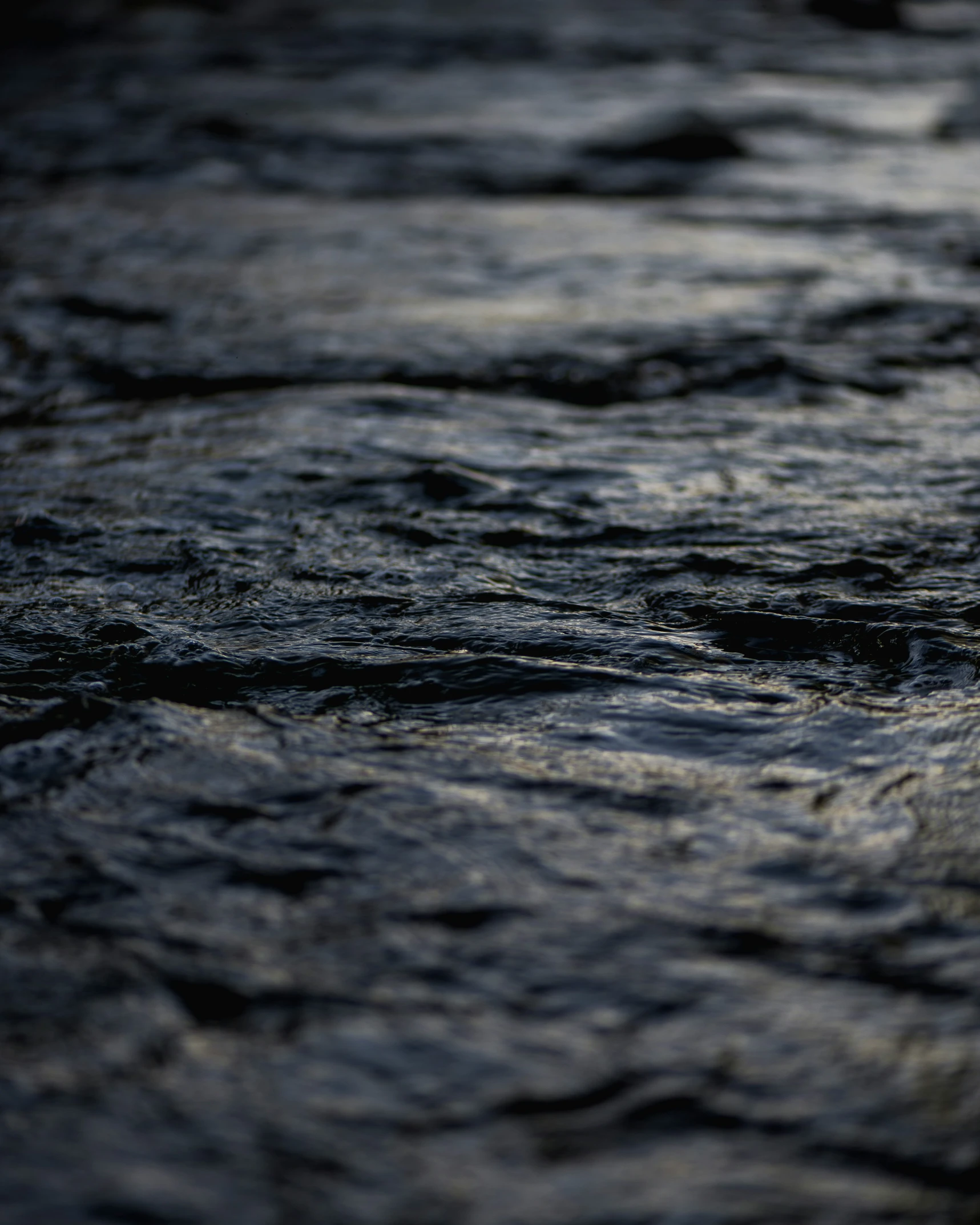 a small bird stands in the middle of a stream