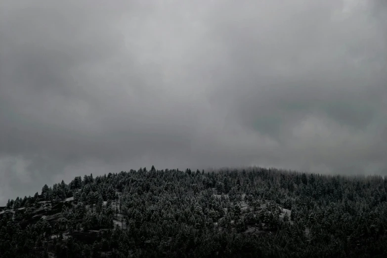 trees on top of a mountain under a cloudy sky