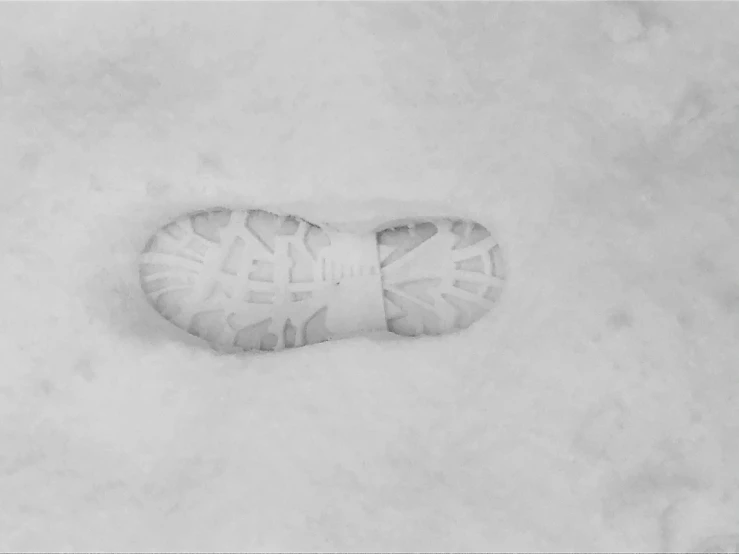 a boot that is laying in the snow
