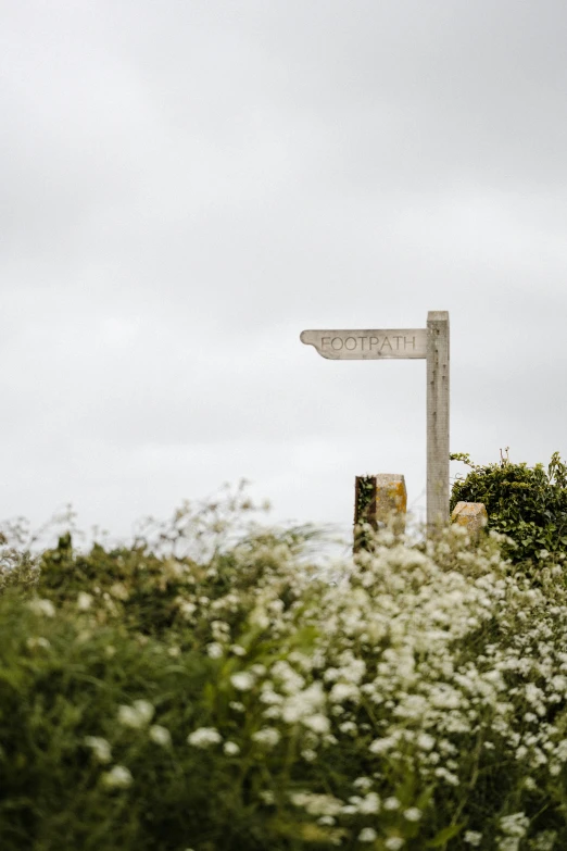 the sign marks a distance of people, flowers and trees