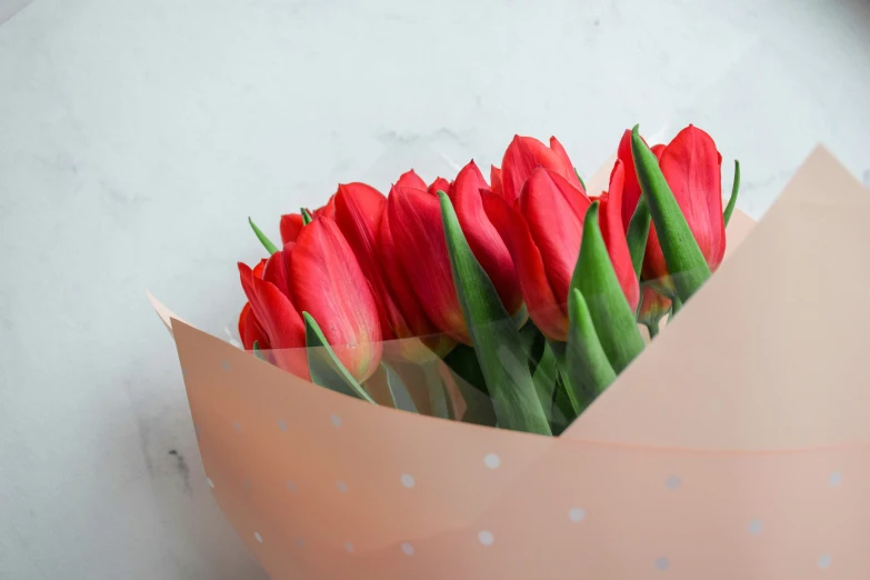 some red flowers that are in a vase