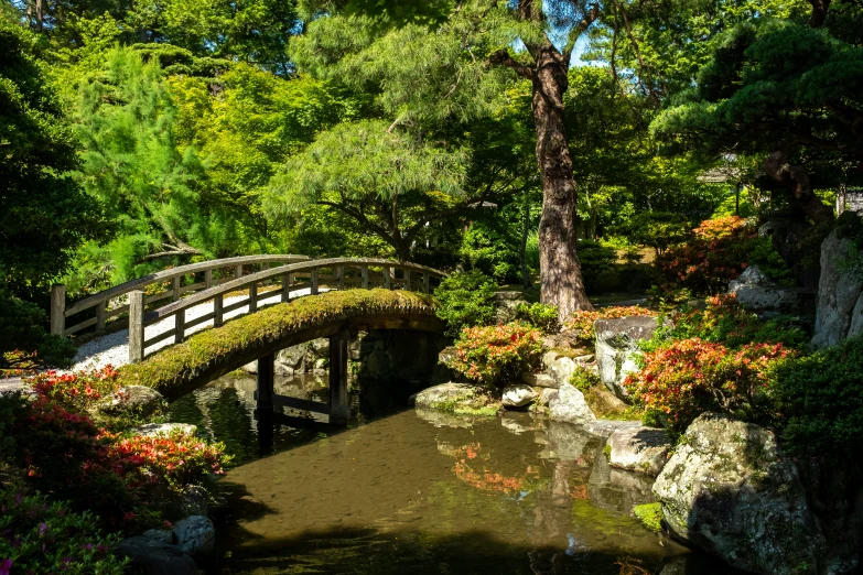 a garden scene, featuring a bridge, water feature and flowers