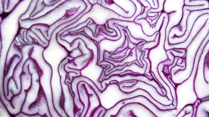 a pattern made in the middle of purple vegetables