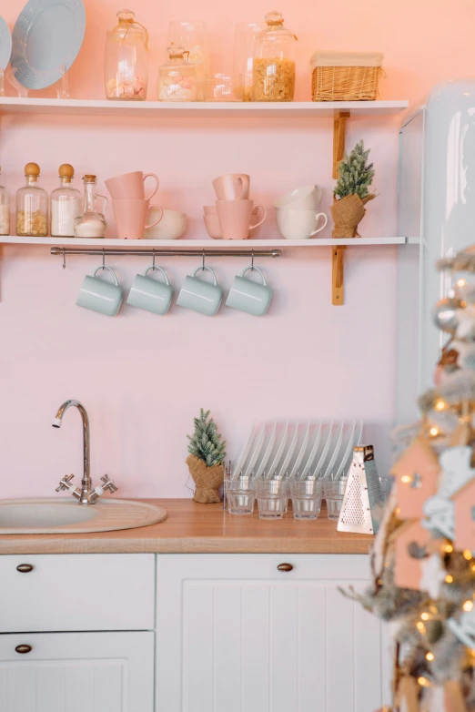 this is a picture of a pink kitchen