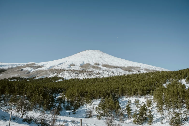 a snow covered mountain with trees under a clear blue sky