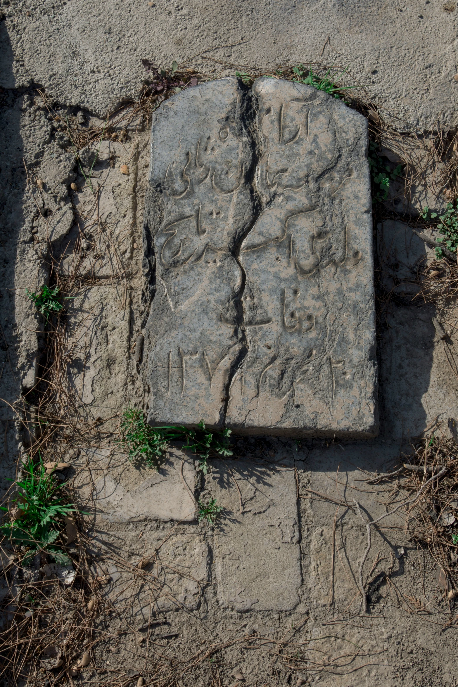 an intricate carved stone is covered by vines