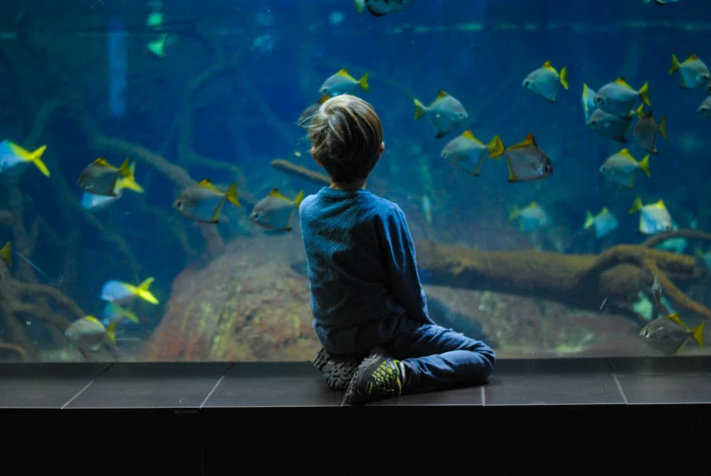 a little boy sitting on the floor watching fish swim by