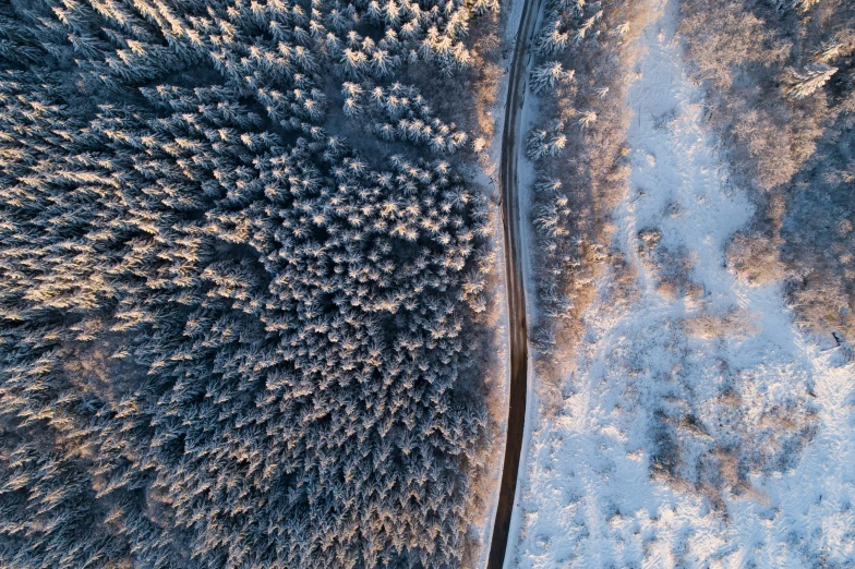 aerial view of a road running through a forest in the winter