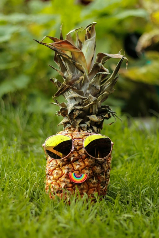 a pineapple wearing sunglasses and sitting in grass