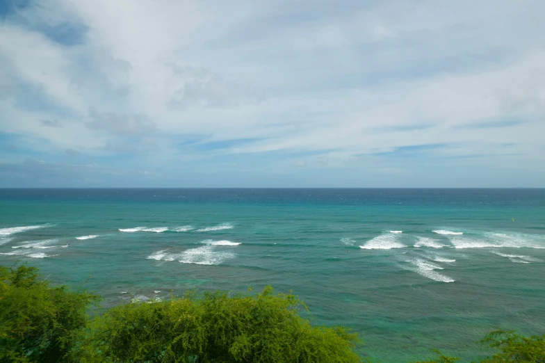 ocean with water flowing over the top and some bushes to the side