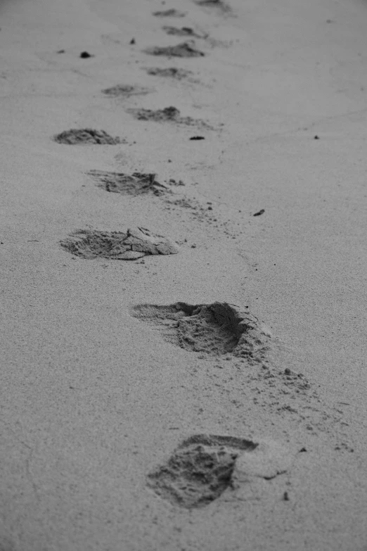 many footprints on the ground in a wet road