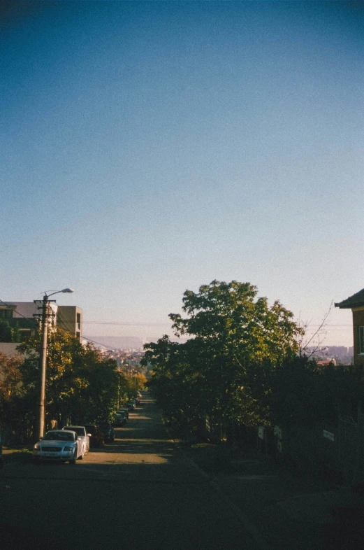 a building on the other side of a tree lined street