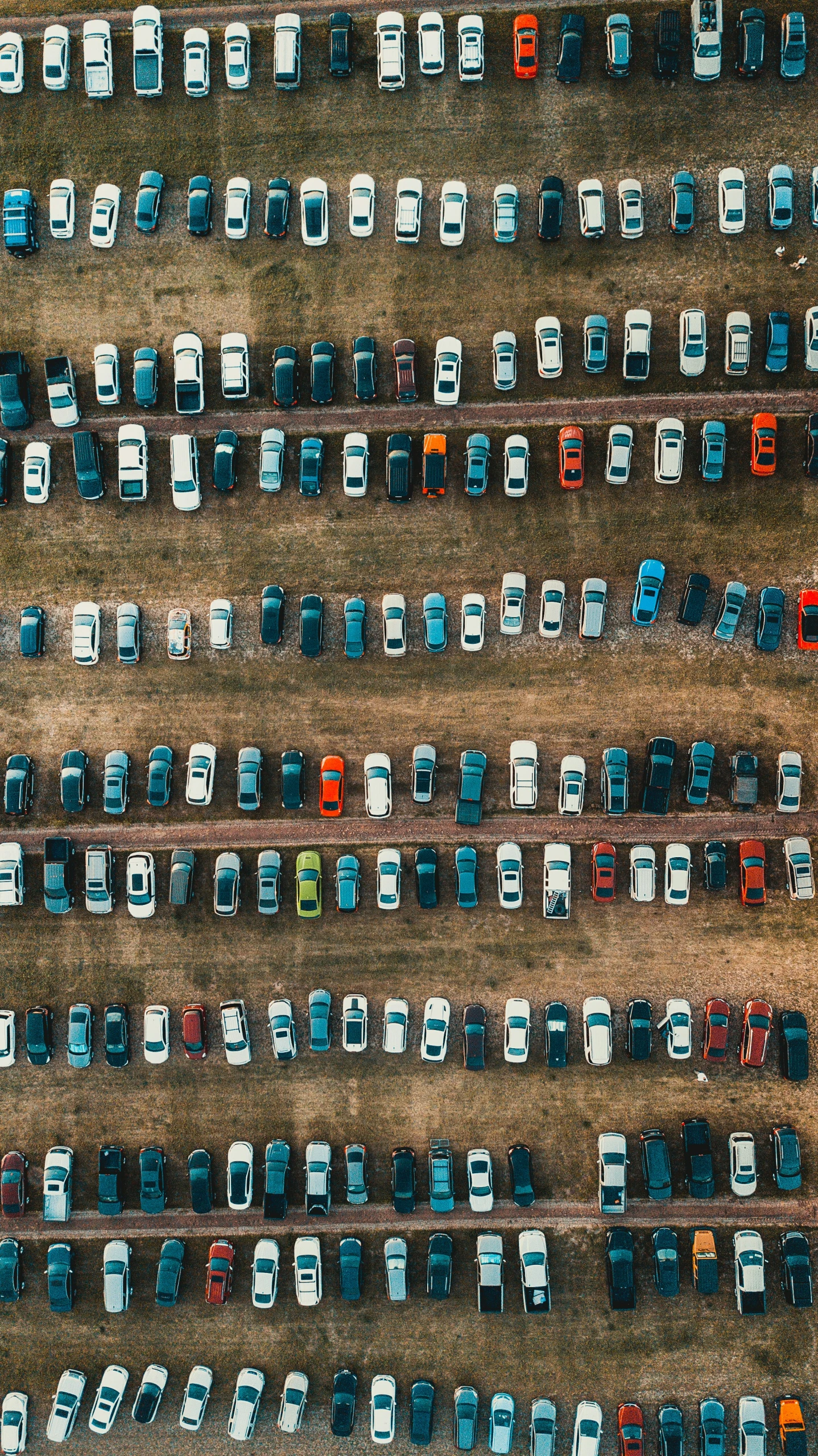 several rows of parked cars lined up in an aerial view