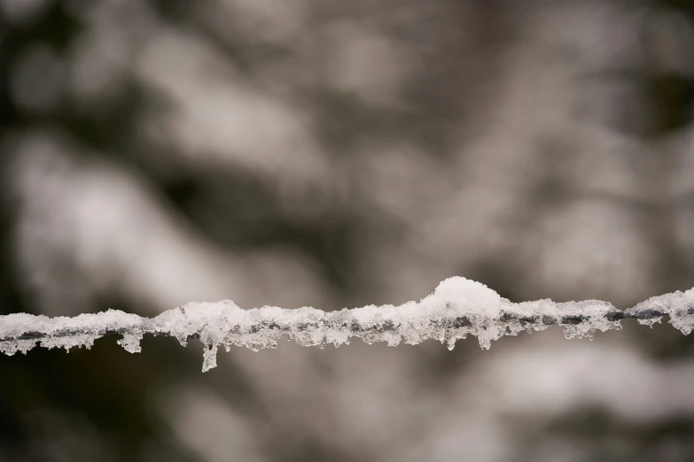 close up view of snow on a nch