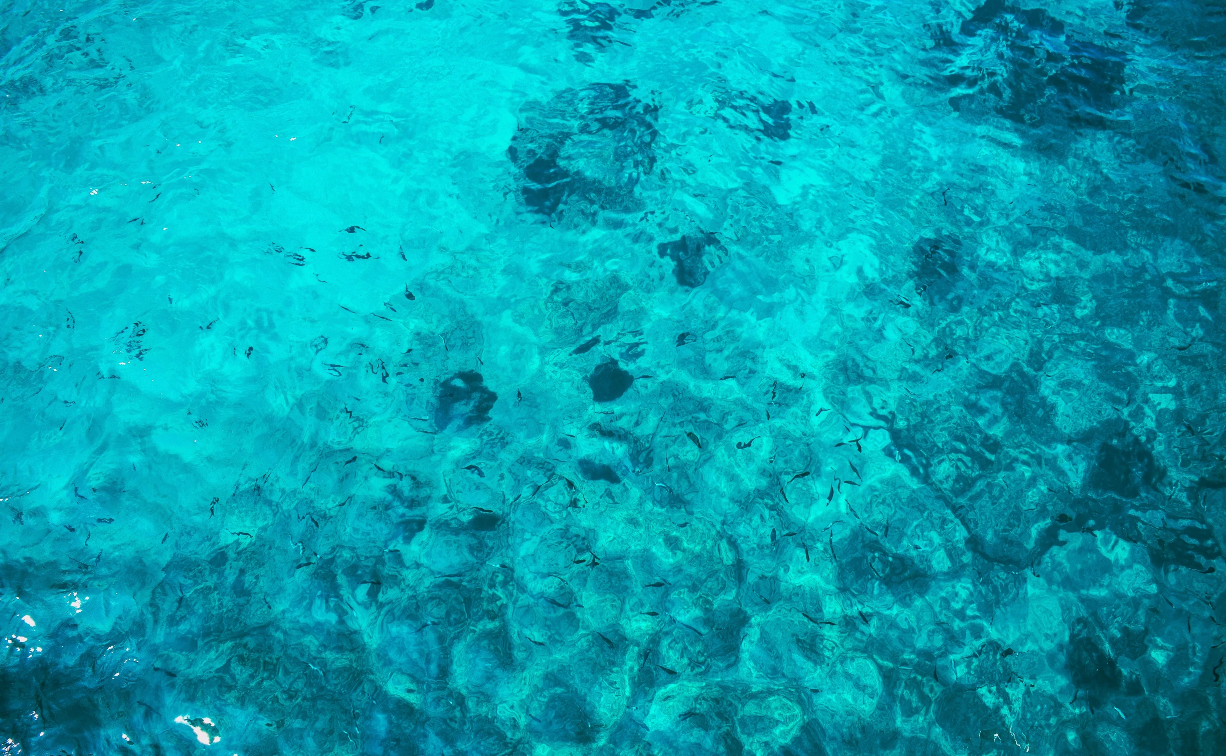 two boats are out on the blue water