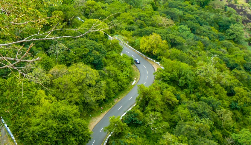 an aerial view of a winding road in the forest