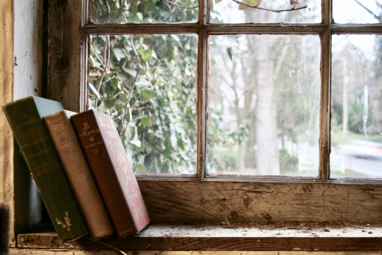 two books are sitting on the window ledge