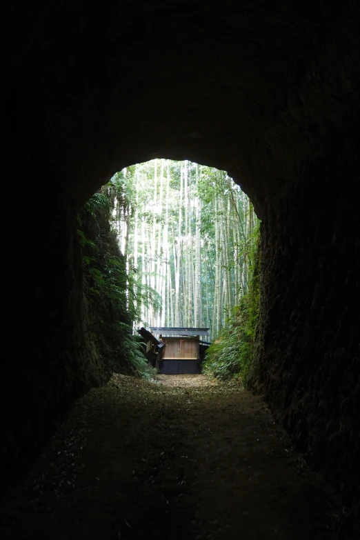 a tunnel that has a bench in it