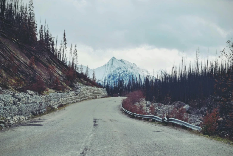 a road going through the wilderness, with a mountain in the background