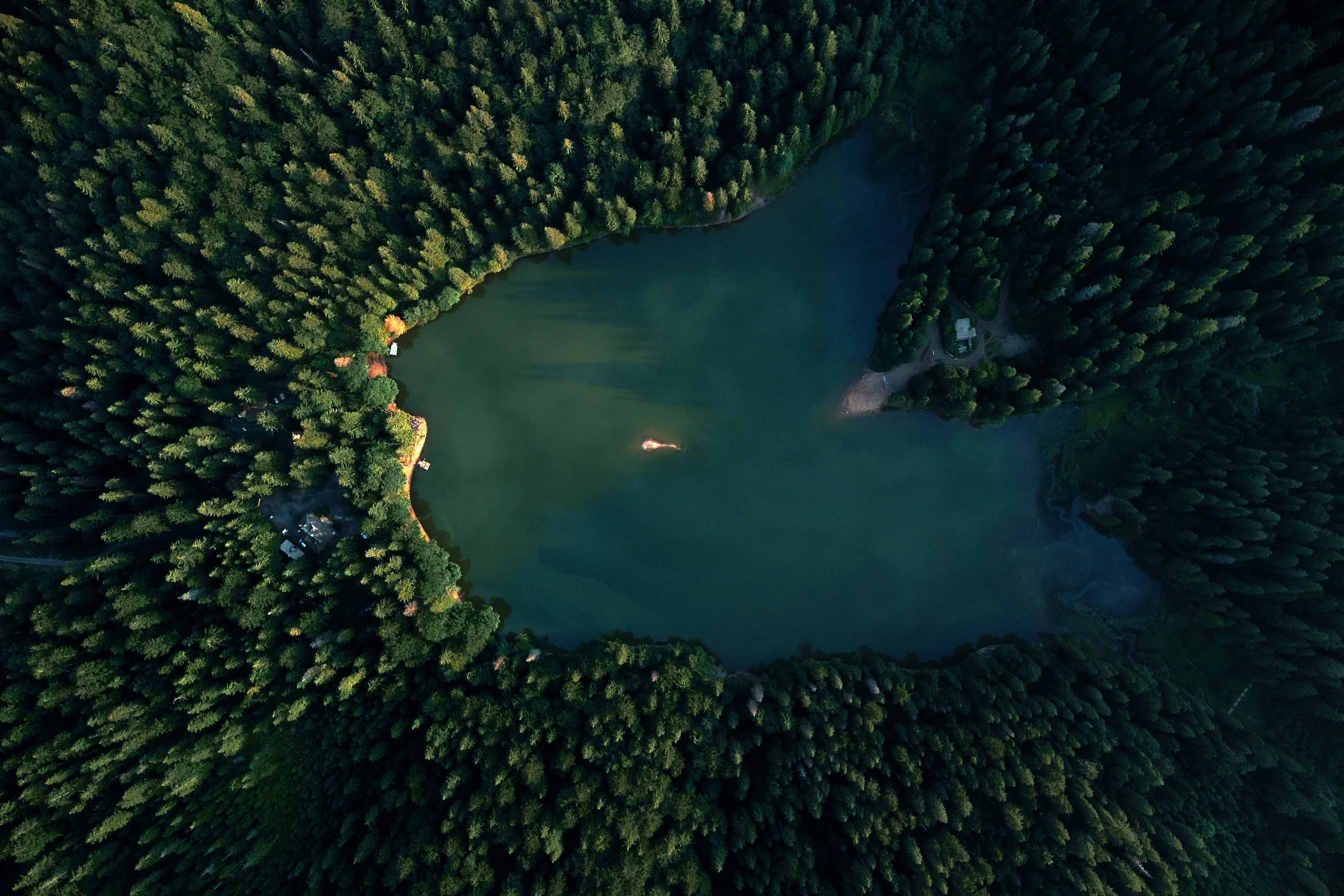 top down view of a tree covered forest with a pond