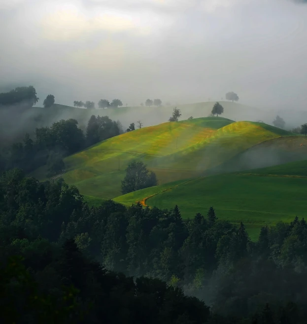 some very green hills that are surrounded by trees