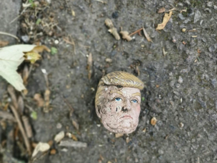 a little child head is sticking out of the ground