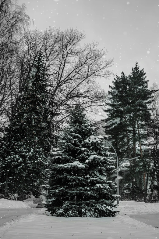 a snow covered park in winter with benches in front