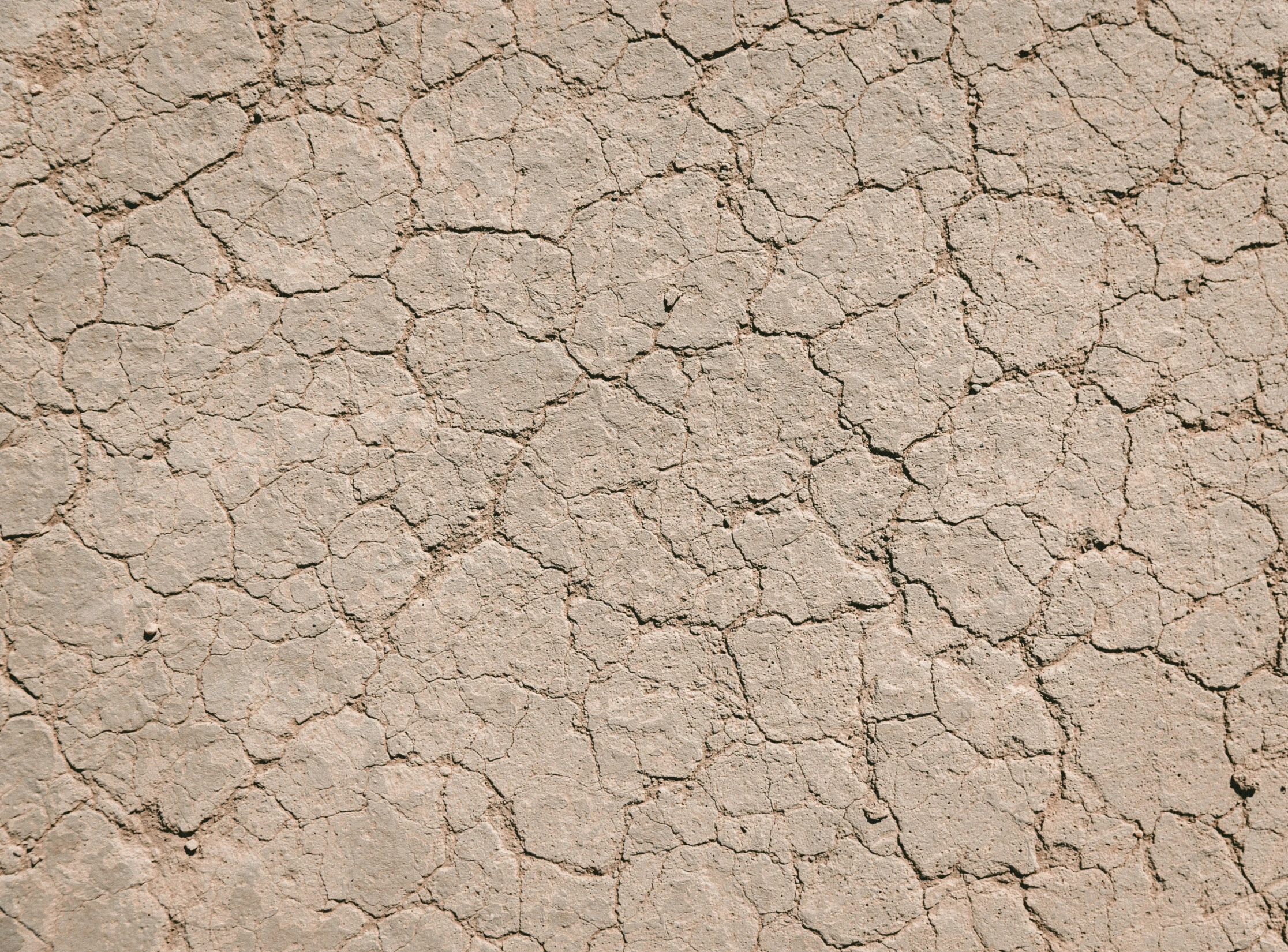 s in the ground of a dry desert landscape
