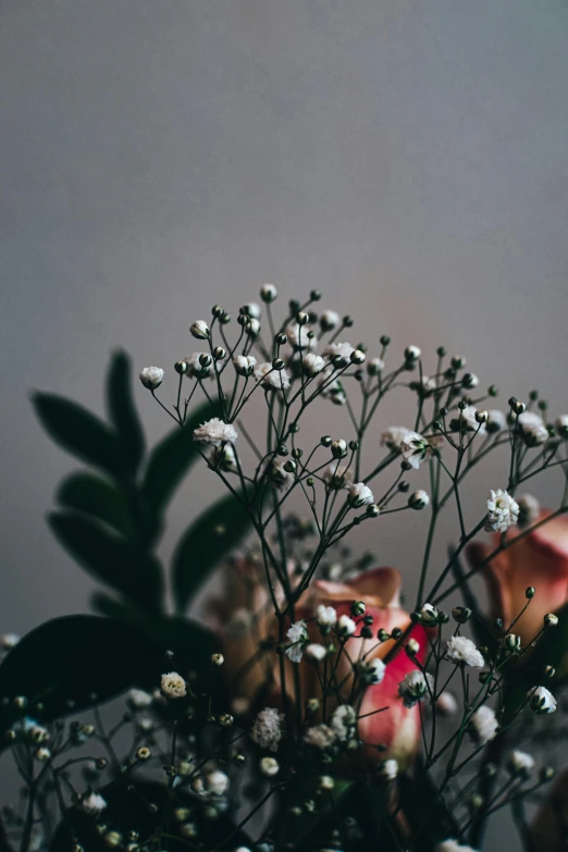 a bouquet of white and pink flowers