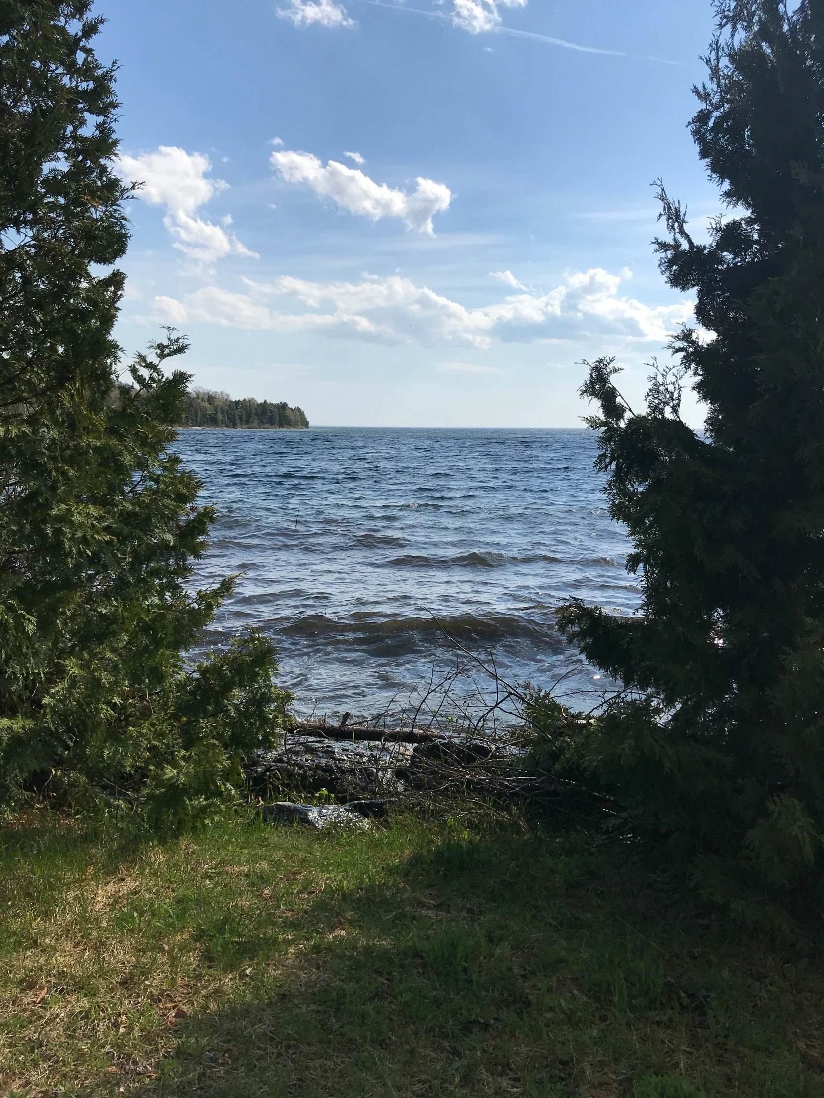 an image of some trees and water taken from the shore