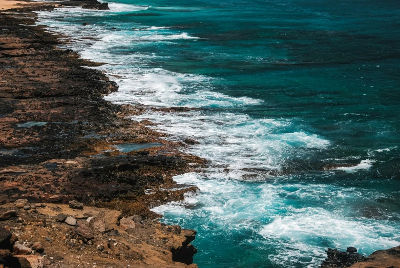 some birds on the rocks on the side of the ocean