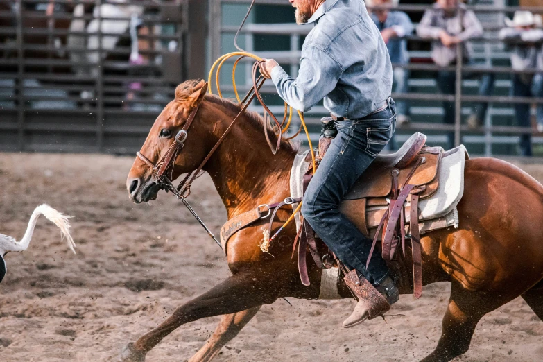 the man in jeans is riding on a horse