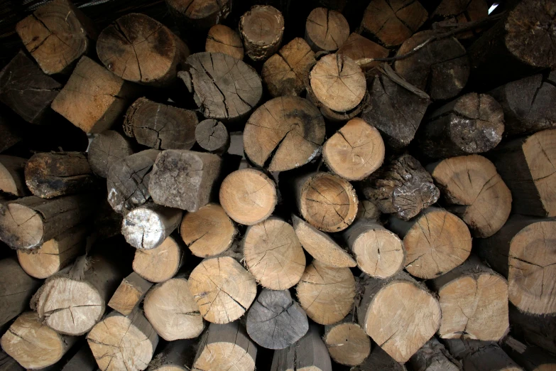 wood is cut and ready to be fired