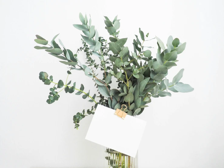 plants sitting in a glass vase on top of a desk