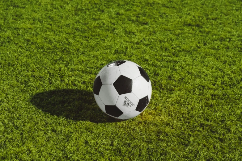 a black and white soccer ball sitting on green grass