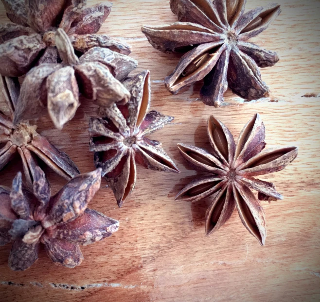 four seeds and three whole flowers on a table