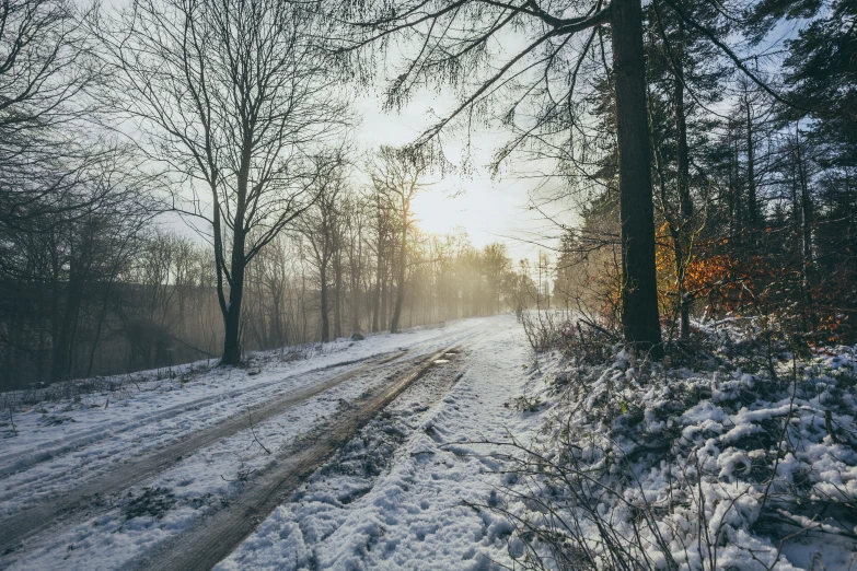 a snowy road surrounded by trees and grass