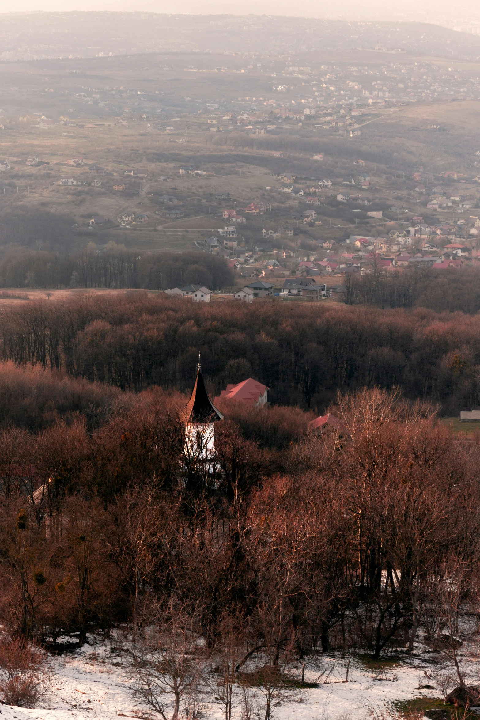 a large clock tower on the edge of trees