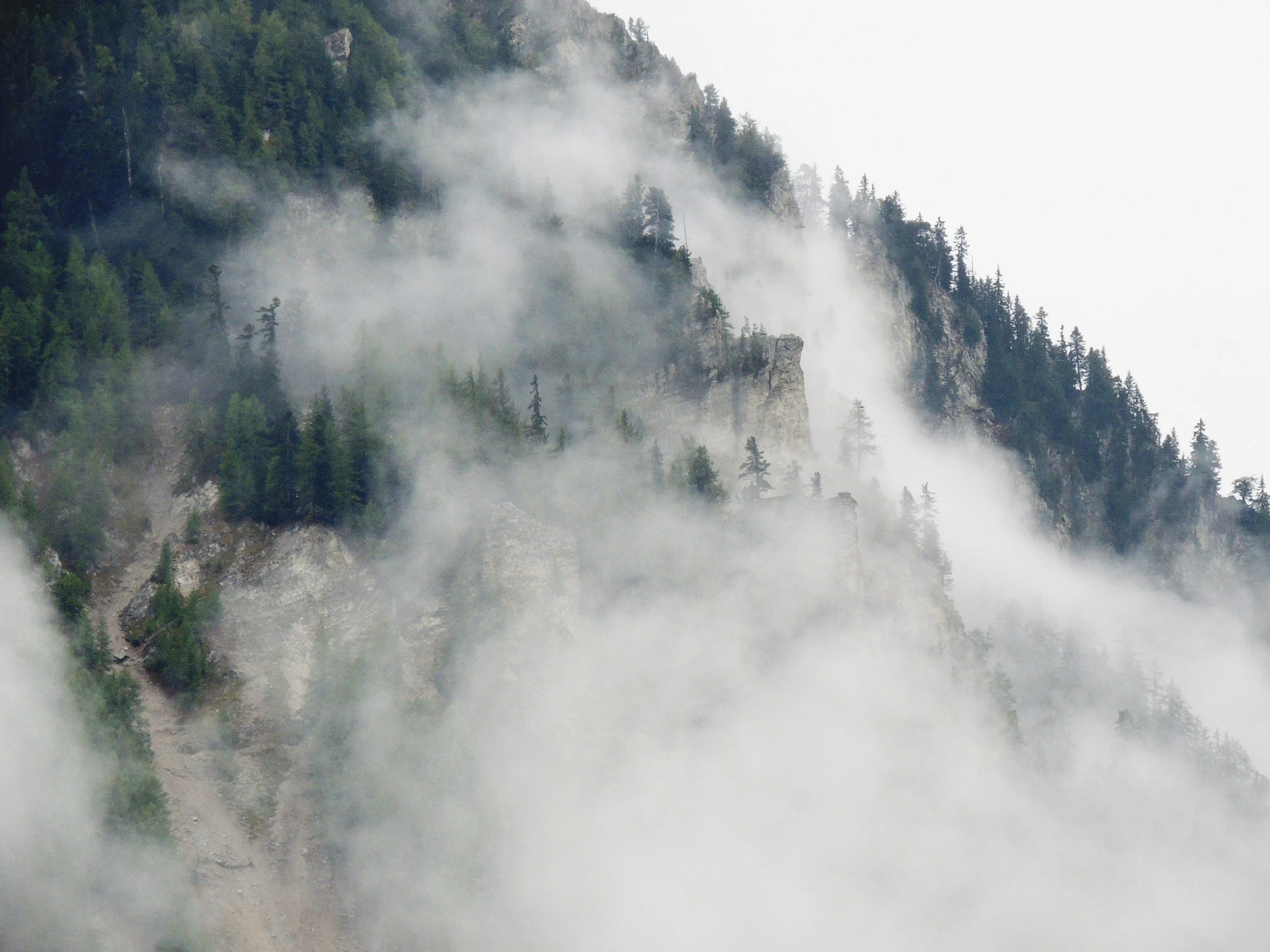 mountains covered with mist and tree tops