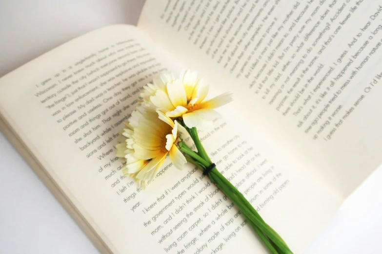 a yellow flower is attached to the edge of an open book