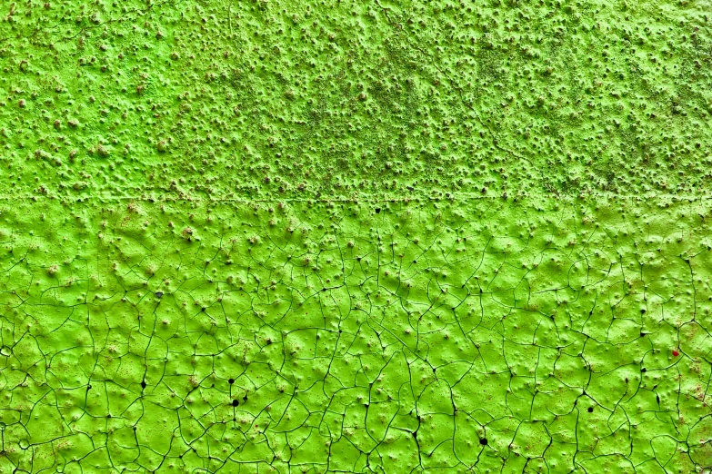 this is an image of a green background